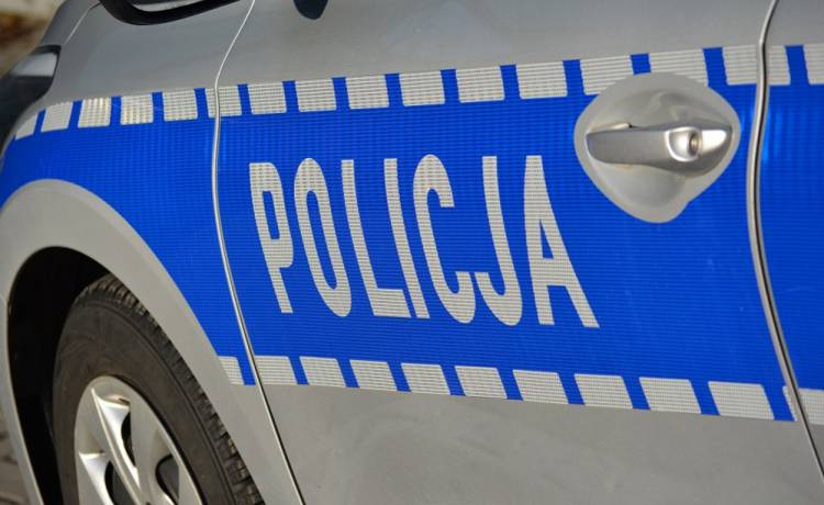 30-latek pogryzł kierowcę. Wcześniej cofał na autostradzie 