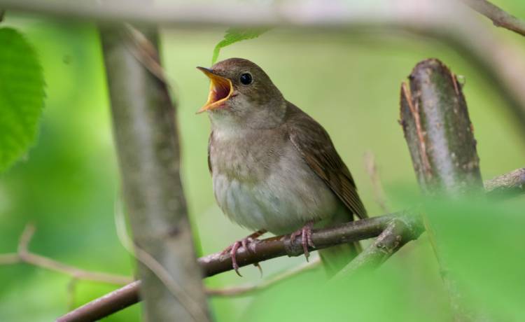 fot. shutterstock.com