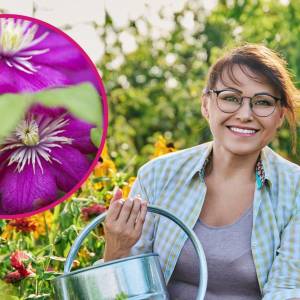 To najlepsza roślina do ogrodu i na balkon. Może kwitnąć nawet dwa razy w roku!