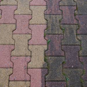 Mało kto zna ten tani sposób! Dodałam do wody i po mchu na kostce nie ma śladu