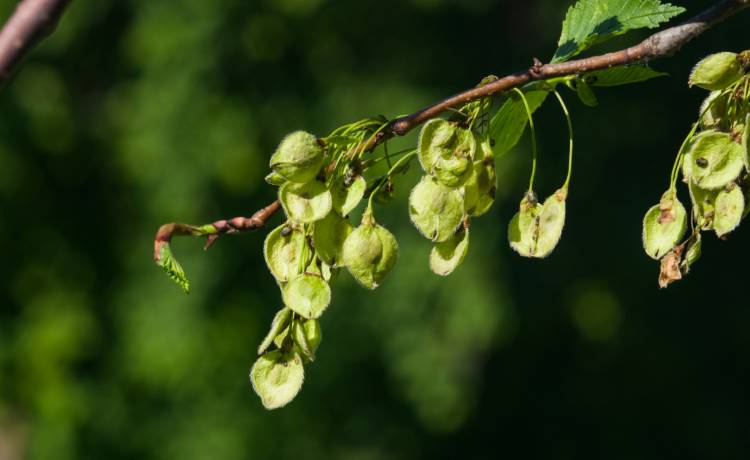 fot. Shutterstock, zdj. ilustracyjne