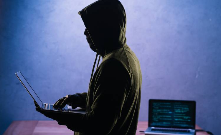 fot. materiały prasowe