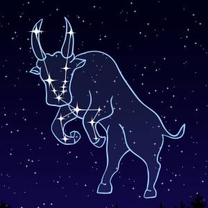 Wytrwałość, lojalność, lenistwo... sezon zodiakalnego Byka trwa! Co charakteryzuje ten znak?
