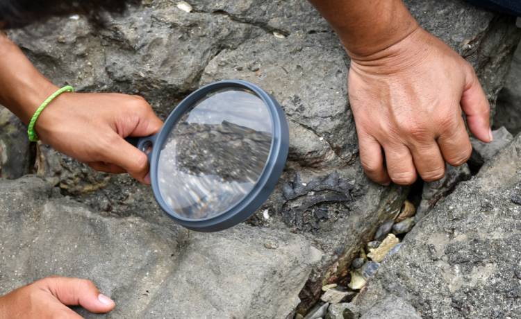 Podczas remontu w centrum Krakowa znaleziono "pochówek szkieletowy". To odkrycie archeologiczne zaskoczyło badaczy  