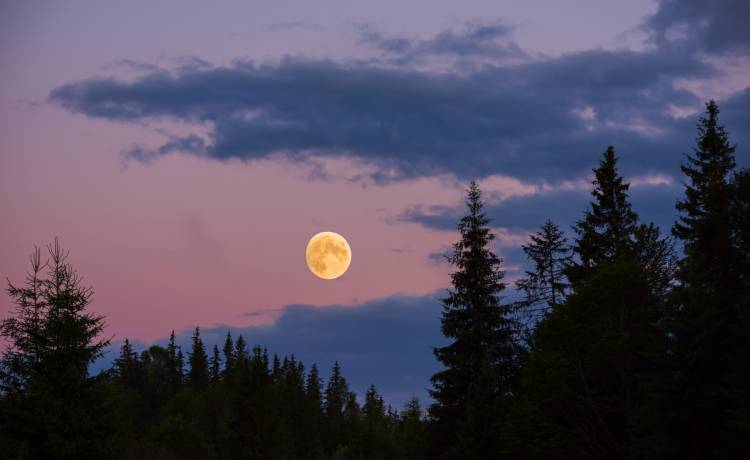 Tak wyglądał Księżyc podczas Truskawkowej Pełni! Zobacz zdjęcia!