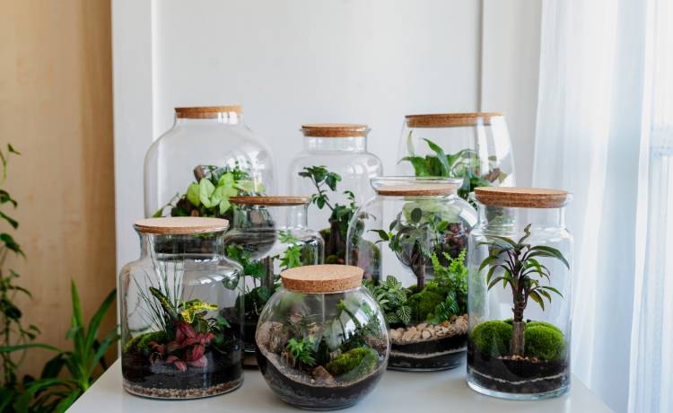 Dzień Matki 2020. Idealnym prezentem będzie… las w słoiku! Jego wykonanie nie jest wcale takie trudne!