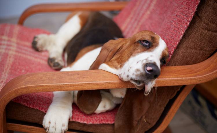 fot. shutterstock.com 