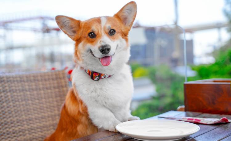 fot. shutterstock.com