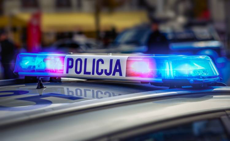 Pracownik zastrzelił swojego szefa i uciekł. Dramat rozegrał się w Wielkopolsce