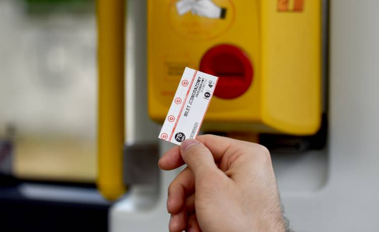 zdjęcie ilustracyjne, fot. Shutterstock/Sachiczko