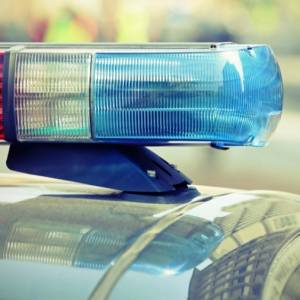 Wielbłąd, krowa i osioł na drodze. Policja szukała właścicieli, a internauci pytali: "Gdzie są Trzej Królowie"