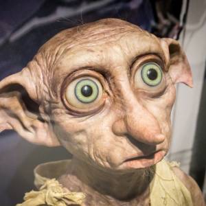 Pamiętacie Zgredka z "Harry’ego Pottera"? Nie zgadniecie, jakie zajęcie wymyślili mu teraz filmowcy!