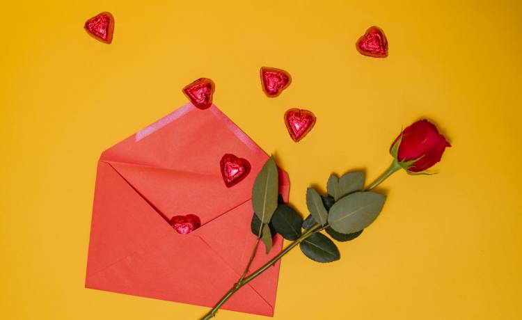 fot. materiały prasowe