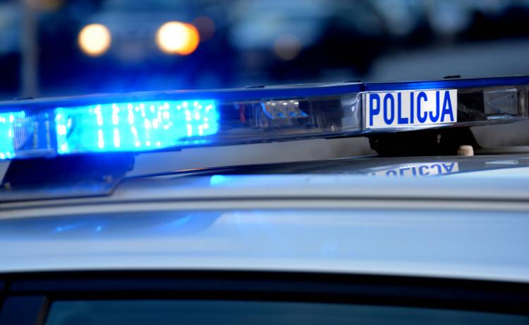 Przestraszyła się pająka i spowodowała wypadek. Straciła prawo jazdy