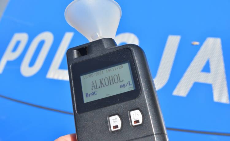 Schowała się przed policją w krzakach. Wcześniej kierowała samochodem pod wpływem alkoholu