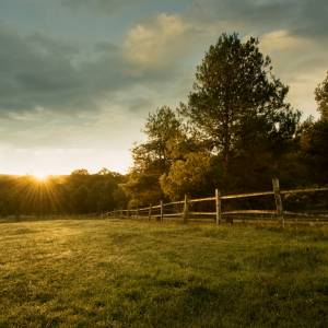 Latami żyli w całkowitej izolacji. 58-letni mężczyzna przetrzymywał na farmie 7 osób