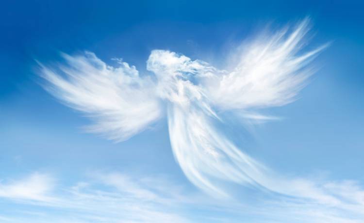 Charakter tych ludzi jest wręcz anielski. 4 znaki zodiaku, które spadły z nieba