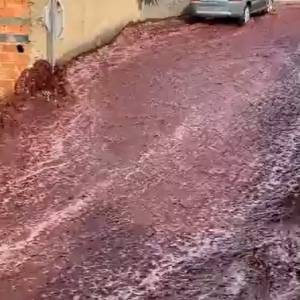 Ulice Portugalii spłynęły... winem. To wynik awarii miejscowej destylarni [WIDEO]