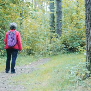 Wybierasz się na grzybobranie? Jest aplikacja, która pomoże Ci w lesie!