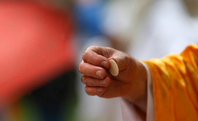 fot. shutterstock.com