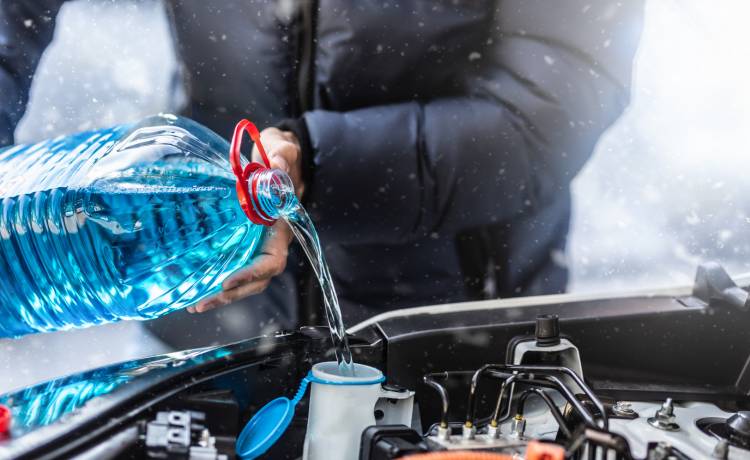 fot. shutterstock.com 