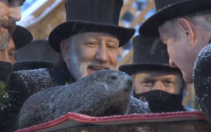 Dzień Świstaka 2021. Phil zobaczył swój cień! Co to oznacza? Czy prognoza się sprawdzi?