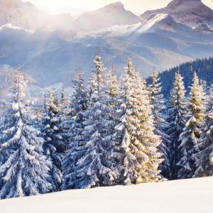 Zima 2021/2022. IMGW opublikowało eksperymentalną prognozę pogody