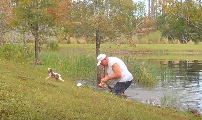 Rzucił się do wody, by uratować psa z paszczy aligatora. "Wypadł z wody jak pocisk"