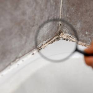 Jak usunąć czarną pleśń z łazienki? Nie używaj do tego octu!