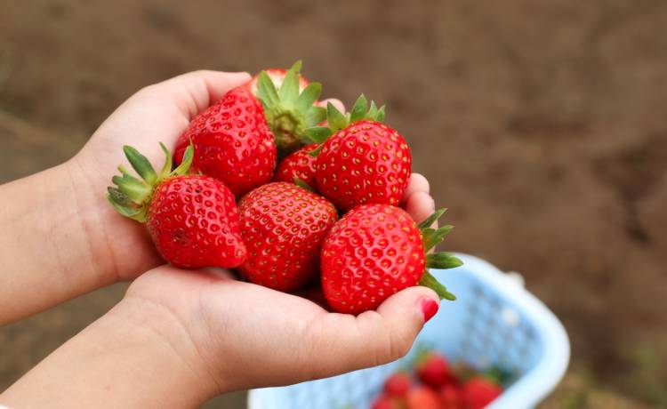 fot. Verra Widhi/Shutterstock