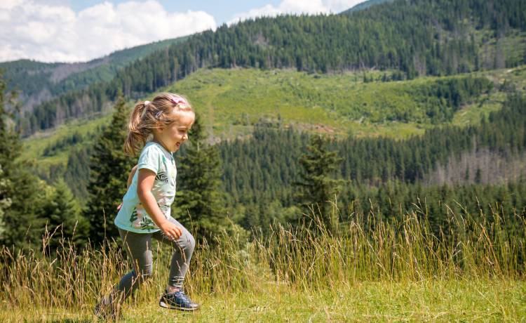 fot. shutterstock.com