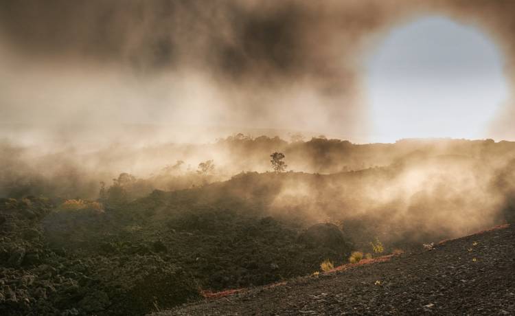 PeopleImages/Shutterstock