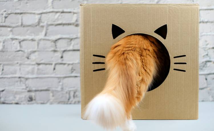 Kot utknął w szybie wentylacyjnym. By mu pomóc, strażacy wywiercili dziurę w ścianie! [ZDJĘCIA]