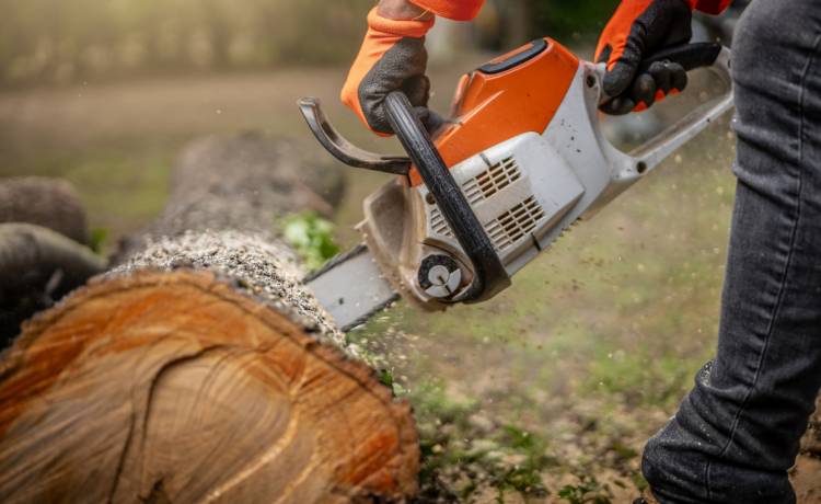 fot. shutterstock.com