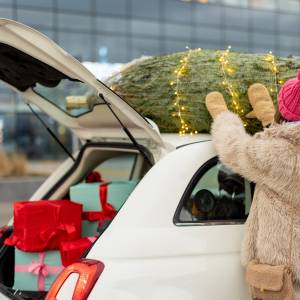 Chcesz przewieźć choinkę? Na to uważaj, możesz dostać mandat