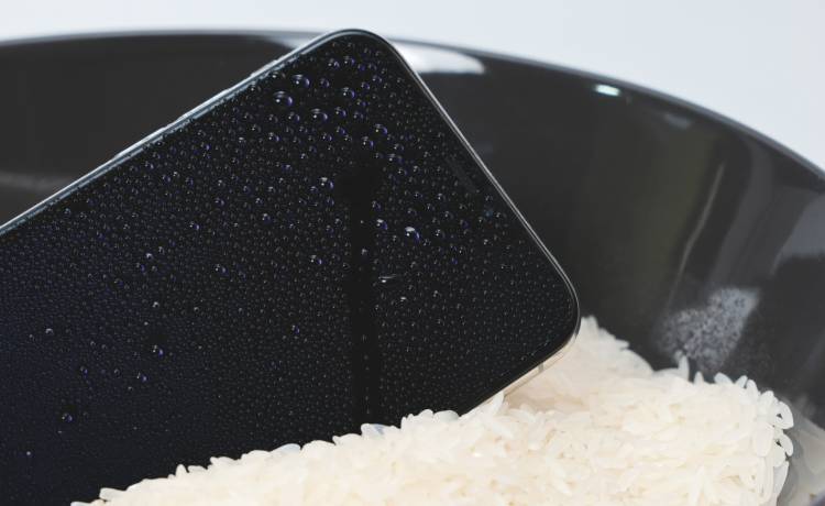 zdjęcie ilustracyjne, fot. Shutterstock/Orapruek