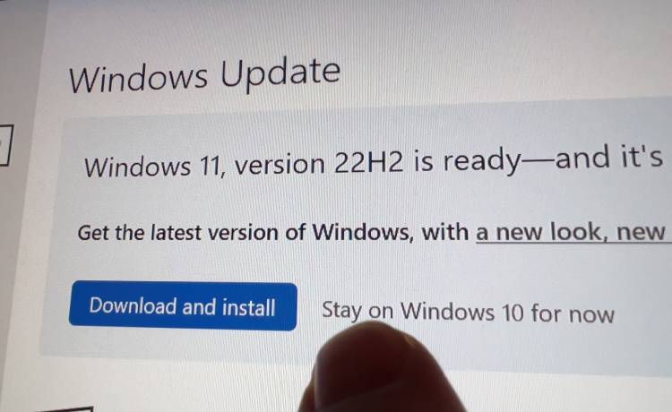 Windows 11, fot. Shutterstock/Hadrian