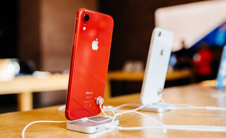 zdjęcie ilustracyjne, fot. Shutterstock/Hadrian