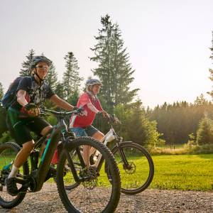 Nie przegap! Rusza nabór na dotacje do rowerów elektrycznych. Nawet 4500 zł do zgarnięcia