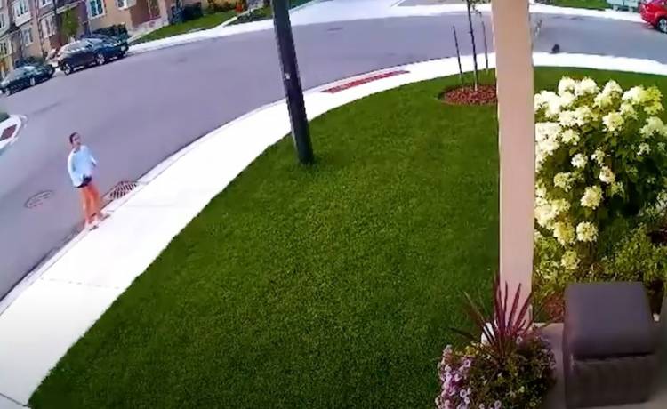 Zwierzęta ratują ludzi w niebezpiecznych sytuacjach. Czworonożni superbohaterowie w akcji! [WIDEO]