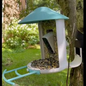 Nieproszony gość w karmniku dla ptaków! Musisz zobaczyć finał nagrania z fotopułapki [WIDEO]