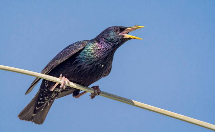 fot. shutterstock.com