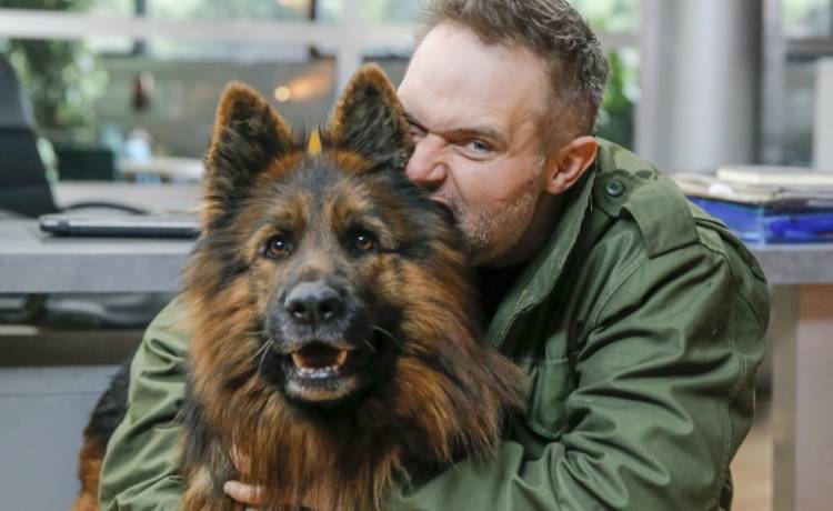 "Komisarz Alex" będzie miał nowego opiekuna? To już piąta taka zmiana!