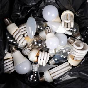Do jakiego pojemnika powinna trafić żarówka? Segregacja odpadów wciąż sprawia Polakom spore problemy
