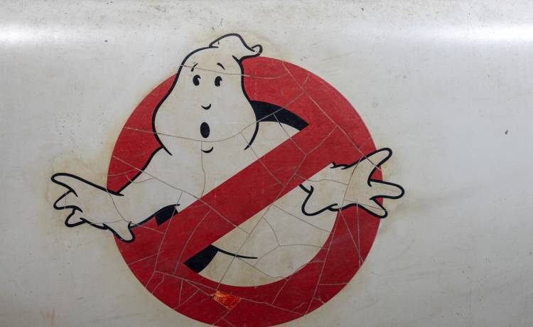 adolf martinez soler/Shutterstock