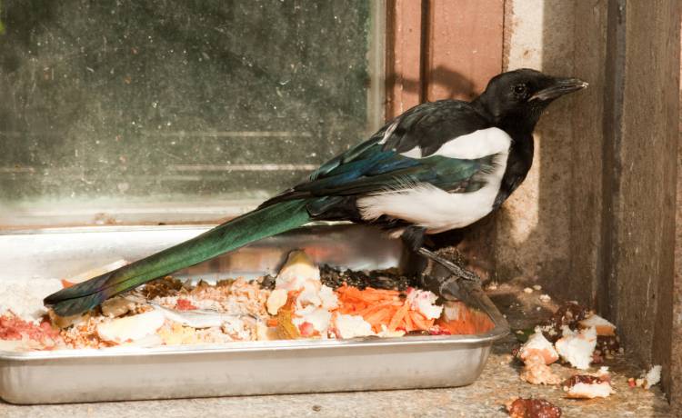 fot. shutterstock.com 