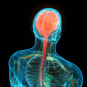 Zdrowy kręgosłup jest coraz rzadszym zjawiskiem w społeczeństwie. Jak można o niego zadbać?