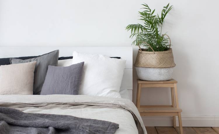 Te kwiaty nie mogą stać w sypialni. Mogą pogarszać jakość twojego snu