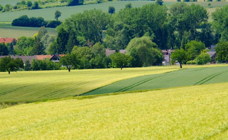 Bożeny i Bożenny co roku przyjeżdżają do Bożenkowa