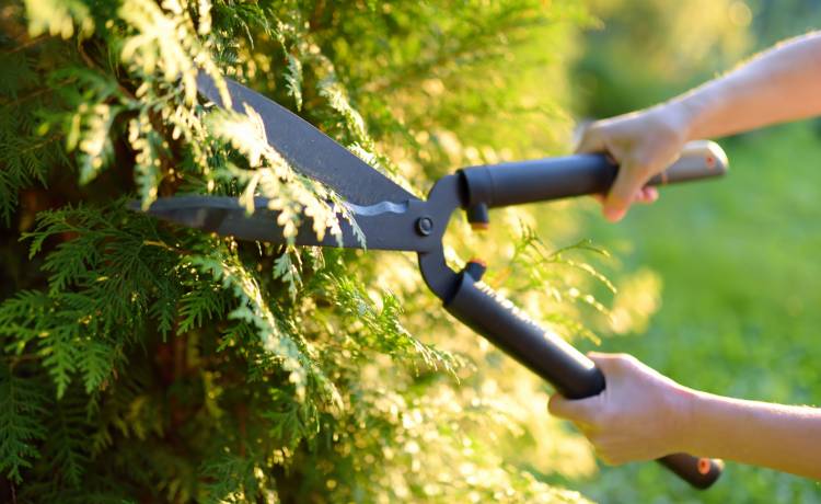 fot. shutterstock.com